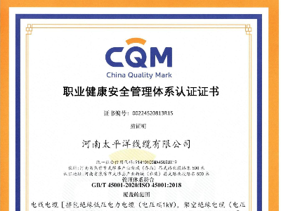 職業(yè)健康安全管理體系認(rèn)證證書